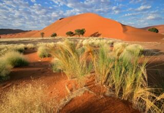 Namibia aktiv erleben
