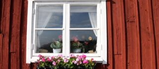 Winterabenteuer am Polarkreis - Familienurlaub in Lappland