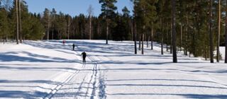 Natur pur: Winterabenteuer im Wildnisdorf - Lappland