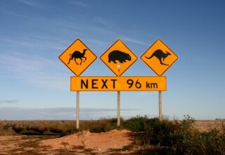 Red Centre Way - Mereenie Loop
