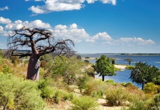 Botswana per Allrad erkunden