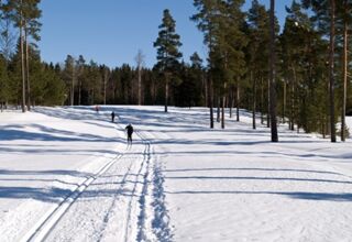 Natur pur: Winterabenteuer im Wildnisdorf - Lappland