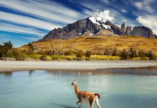 Acotango (6052 m), Parinacota (6342 m) und Sajama (6542 m)