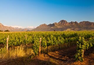 Abenteuer und Genuss entlang der Garden-Route