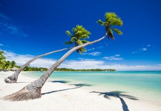 Blue Lagoon Cruises
