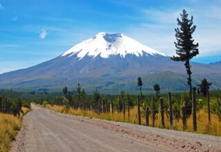 Vulkanbesteigung Cotopaxi und Chimborazo